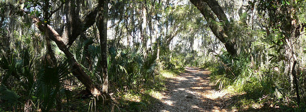 Guide to Jacksonville’s Hiking Trails Guide to Jacksonville’s Hiking Trails
