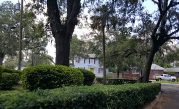 North Shore: The Northside's Best Kept Secret North Shore: The Northside's Best Kept Secret