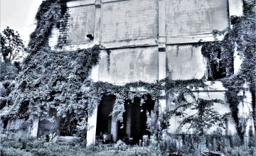 Farris: Inside an Abandoned Jacksonville Slaughterhouse Farris: Inside an Abandoned Jacksonville Slaughterhouse