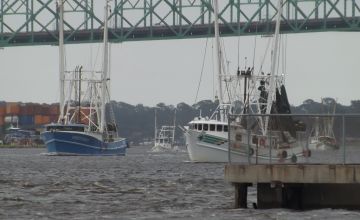 Hurricane Irma activates Jacksonville's riverfront Hurricane Irma activates Jacksonville's riverfront