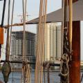 Sail Jacksonville 2007