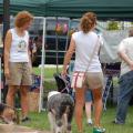 Springfield Dog Days in the Park 2008