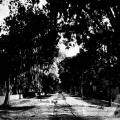 Jacksonville Traction