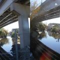 Hogans Creek