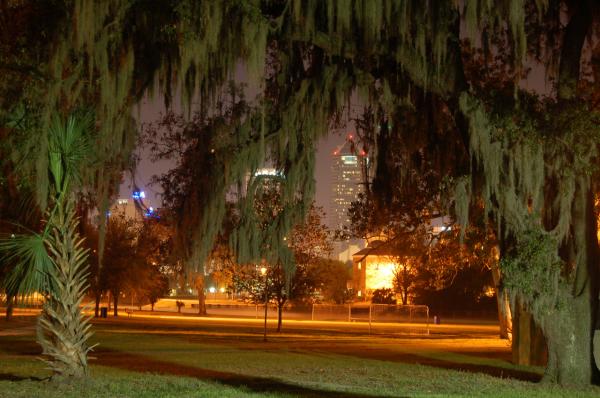 Springfield at Night