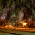 Springfield at Night