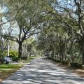 St Johns Park