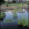 Springfield Botanical Gardens