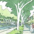 Commuter Rail Plan