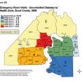 Duval County Health Statistics