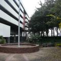 Water Street Garage Pocket Park